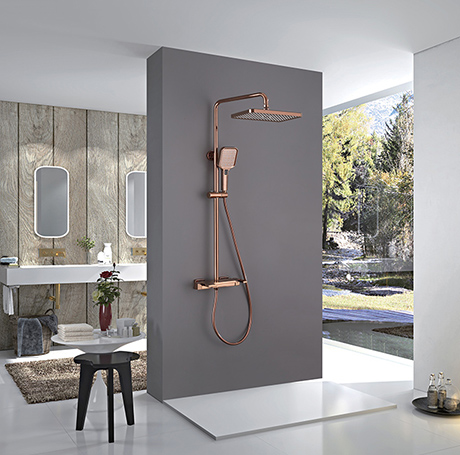 Consumer Voice: We want this kind of bathroom product